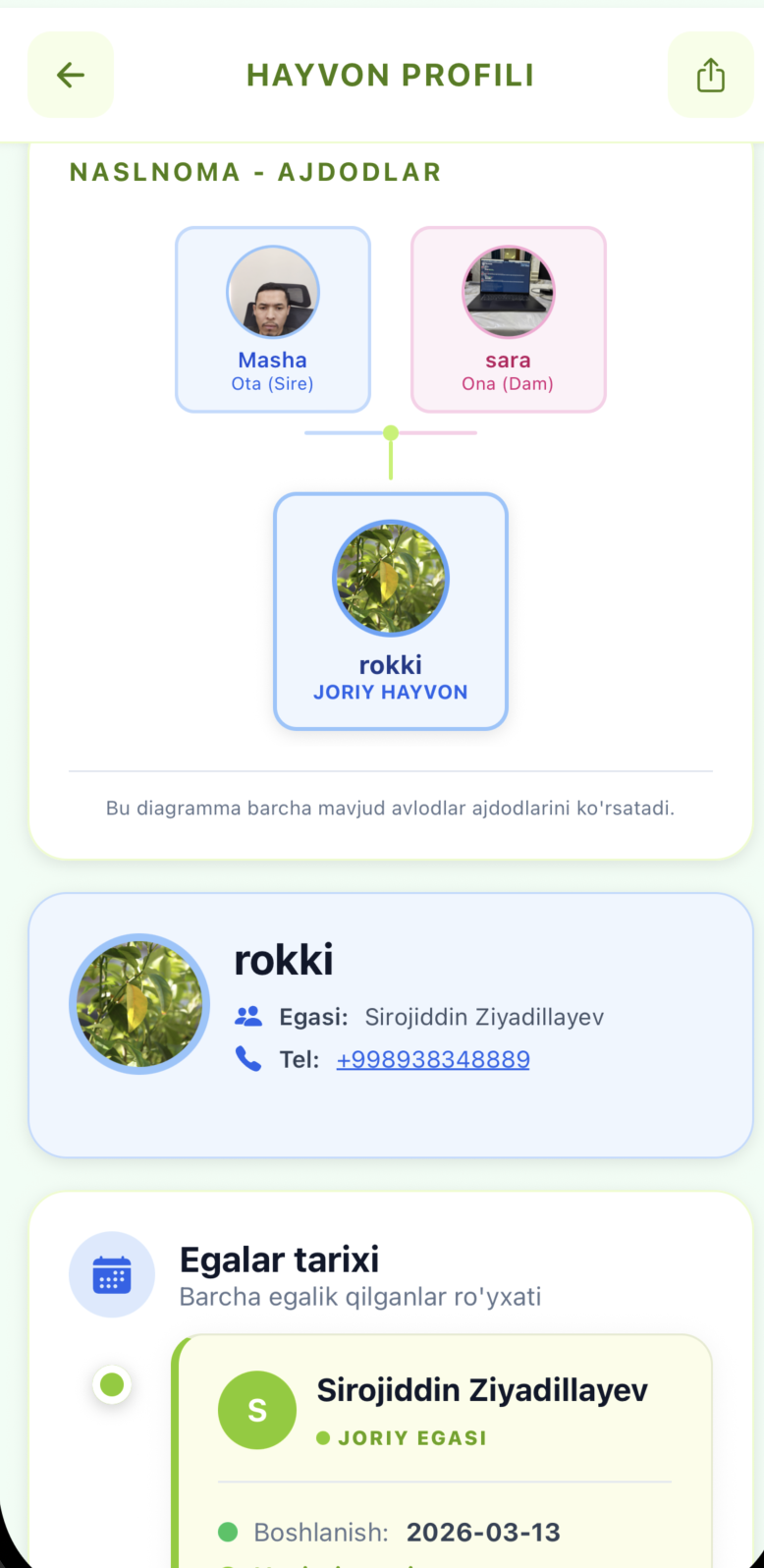 O'sish dinamikasi