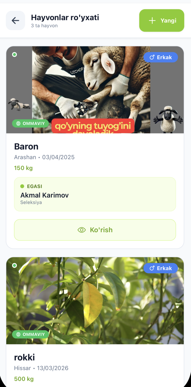 Hayvonlar ro'yxati